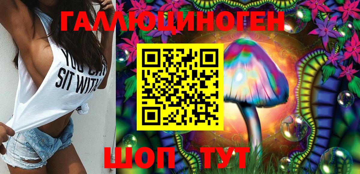Россия  Галлюциногенные грибы Psilocybe  Вход с VPN 