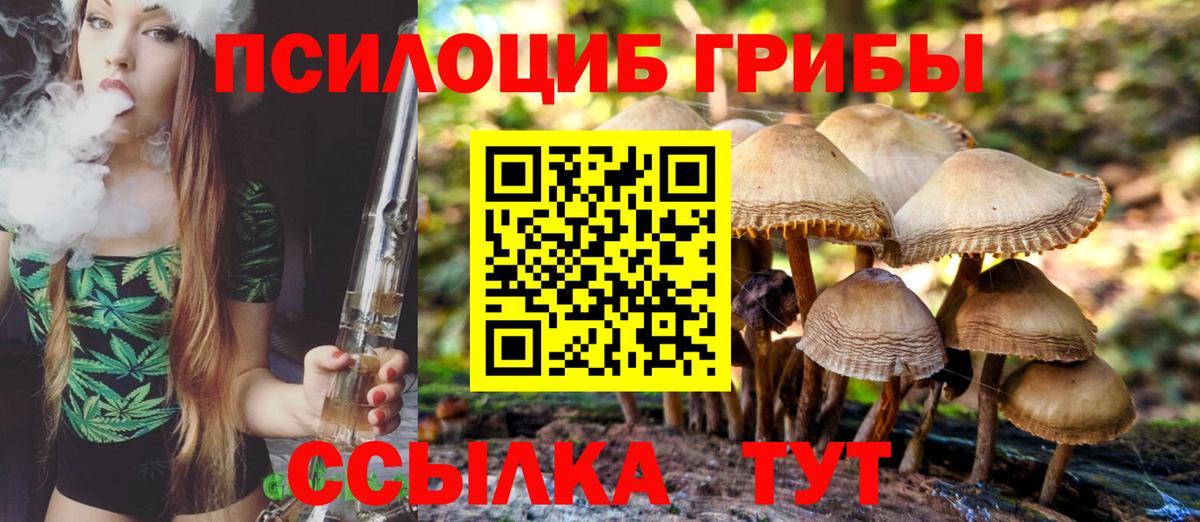 Галлюциногенные грибы мухоморы Россия